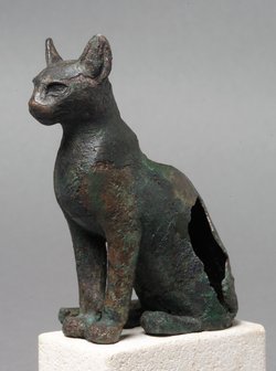 Katze