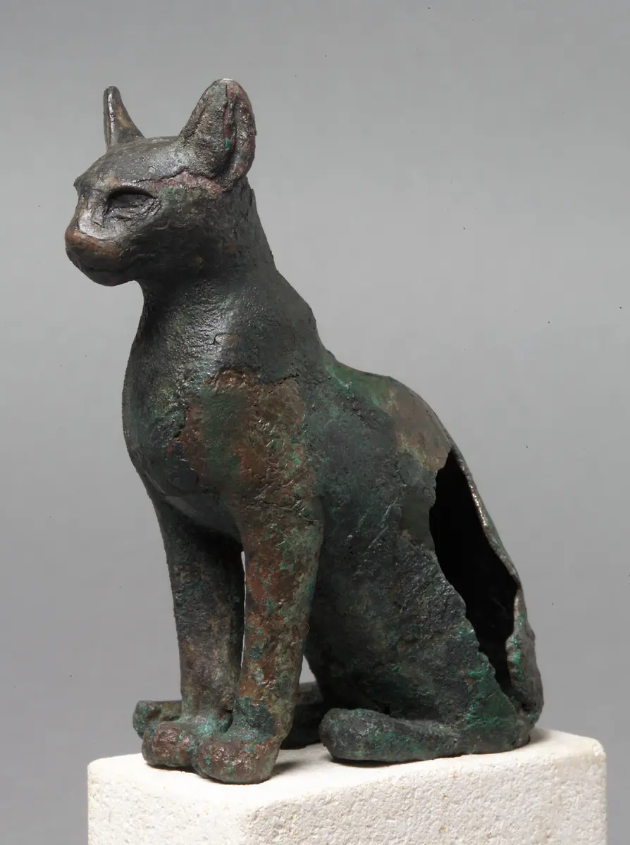 Katze