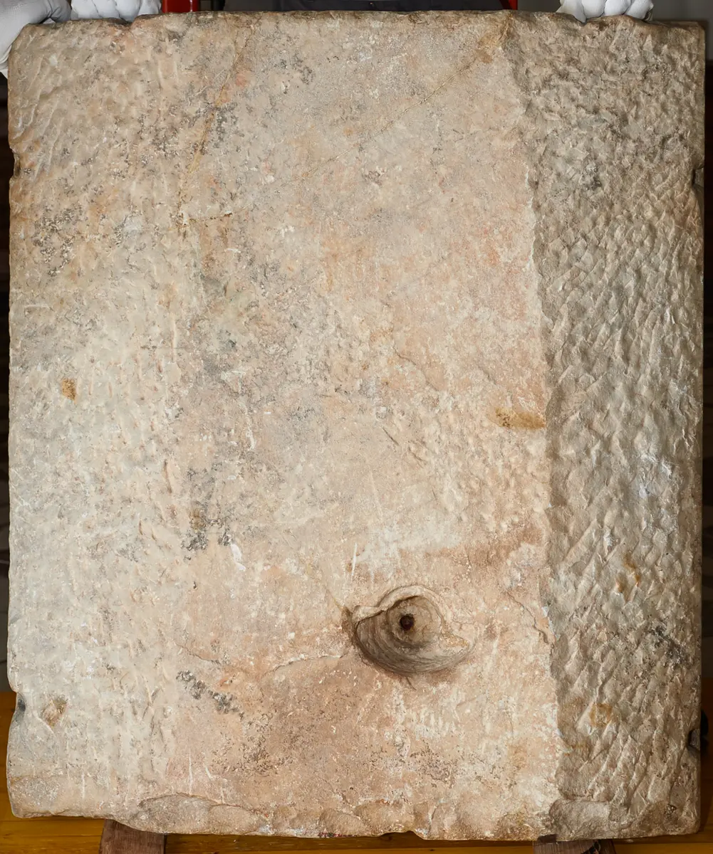 Brunnenrelief Grimani: Löwin mit Jungen