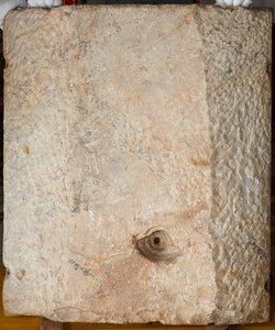 Brunnenrelief Grimani: Löwin mit Jungen