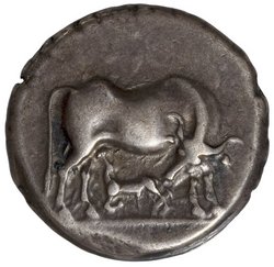 Apollonia