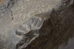 Sitzstatue der Göttin Sachmet