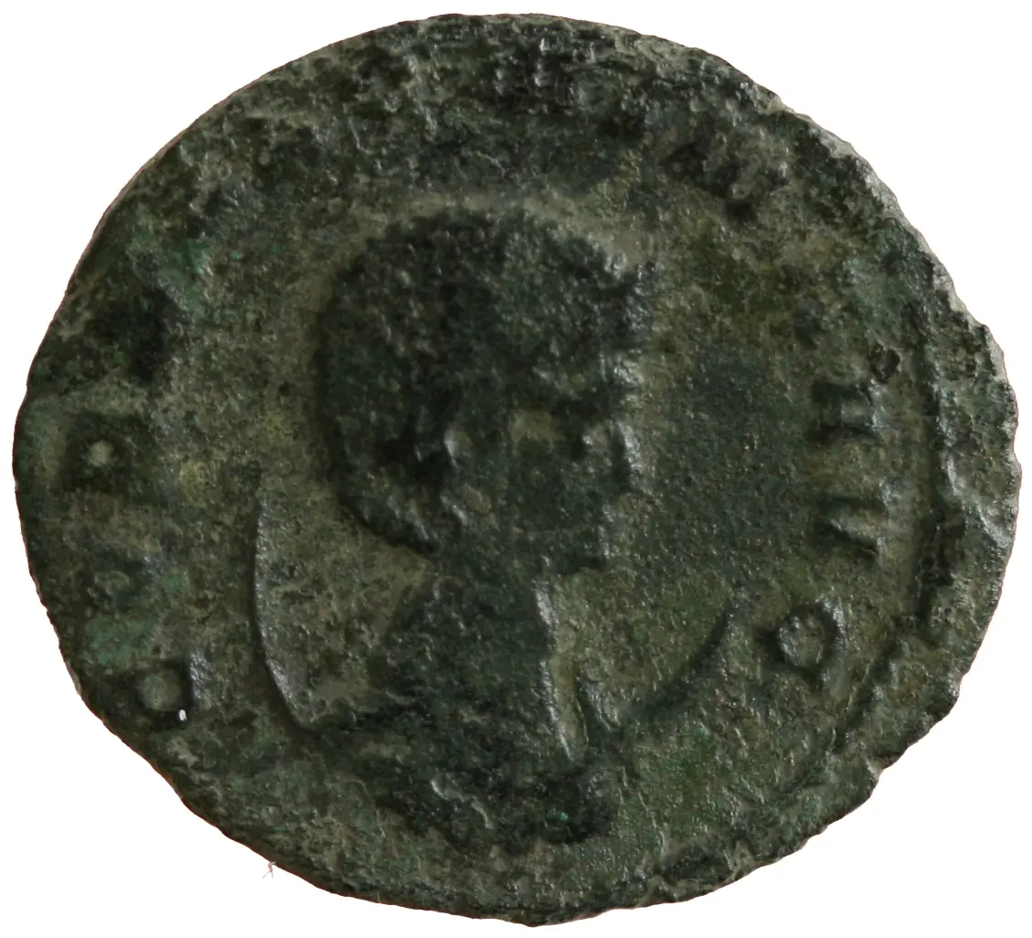 Salonina