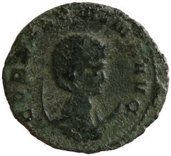 Salonina
