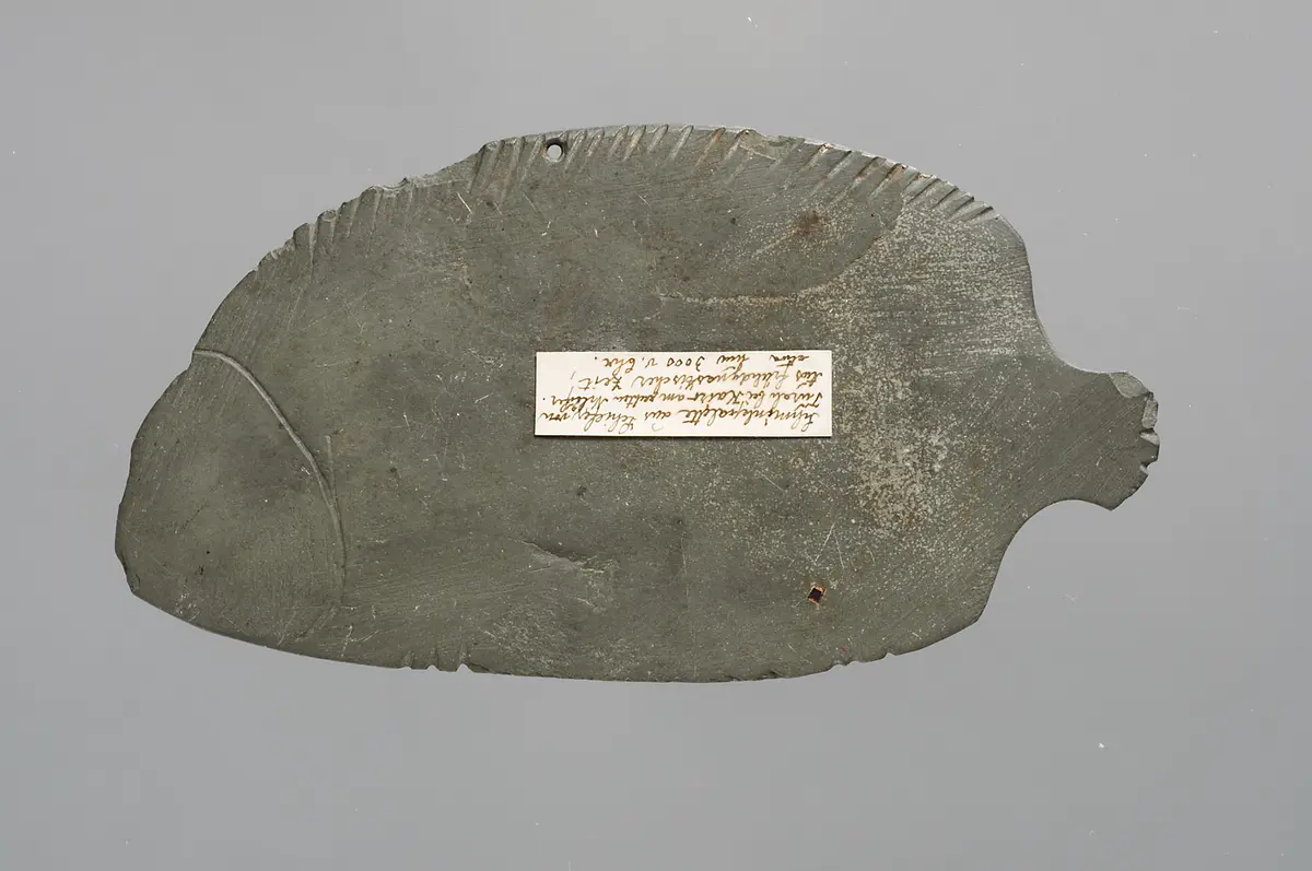 Schminkpalette in Fischform