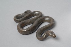 Natter (Naturabguss)