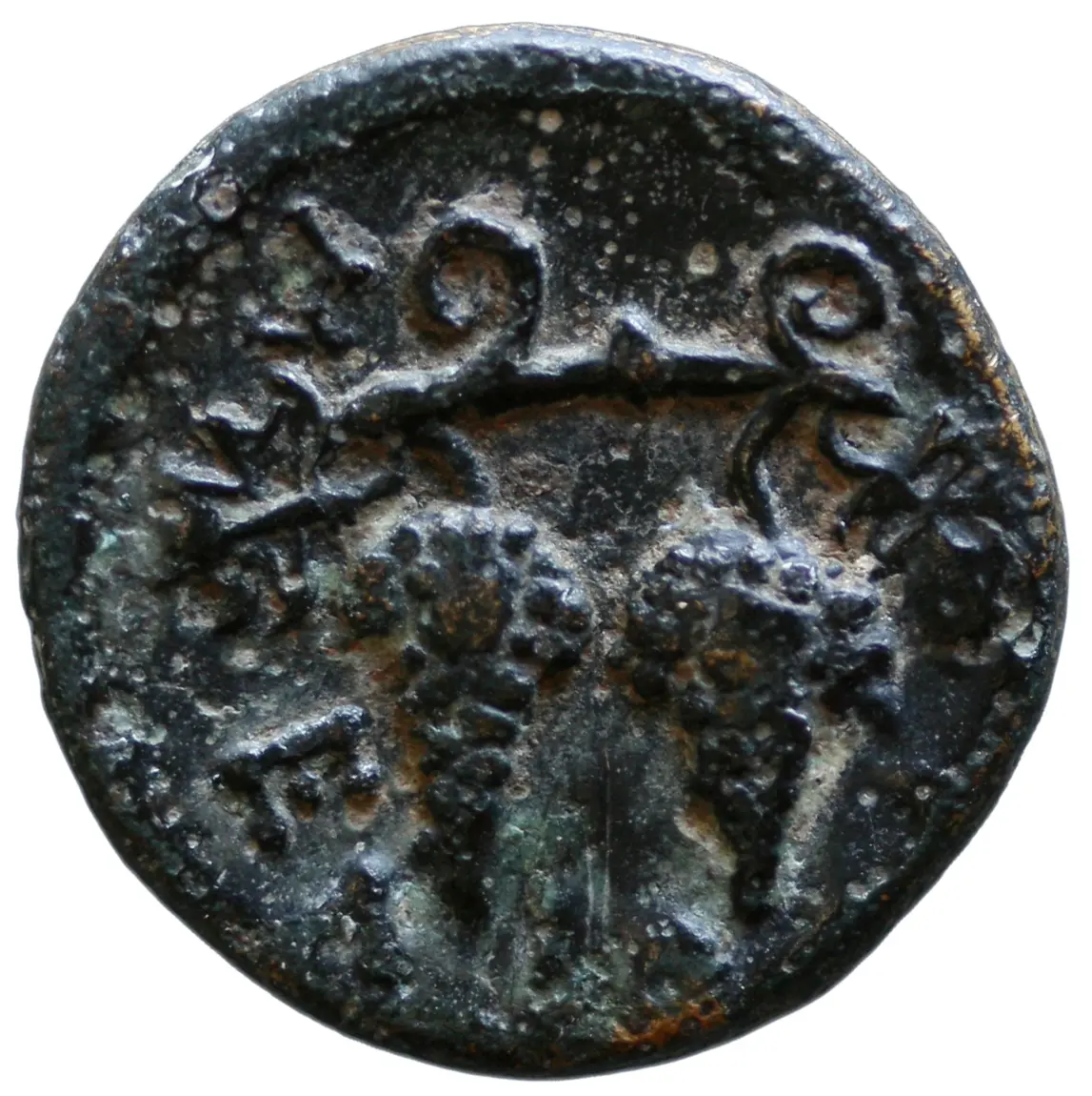 Meliboea