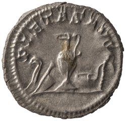 Maximinus I. (Thrax) für Maximus