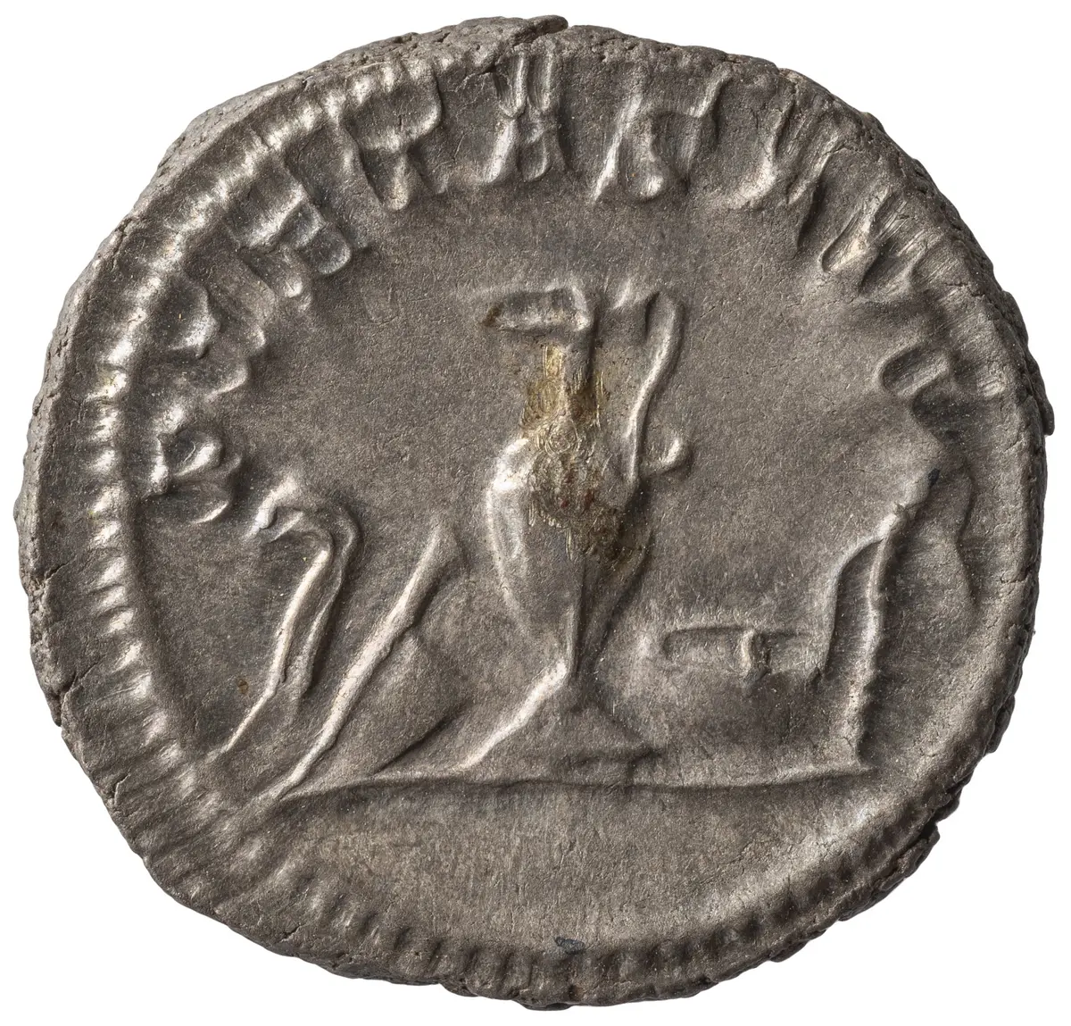 Maximinus I. (Thrax) für Maximus