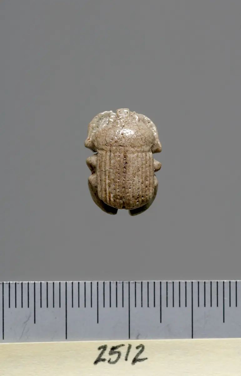 Mumienskarabäus