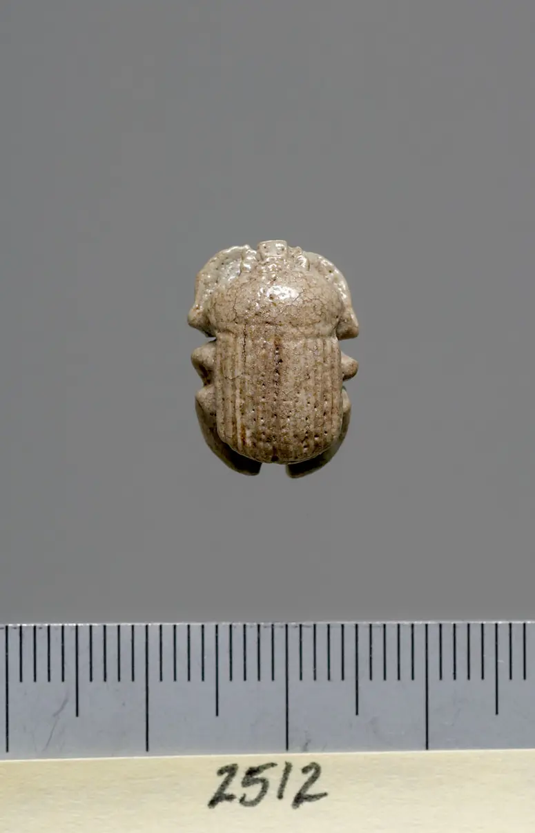 Mumienskarabäus