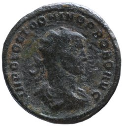 Probus