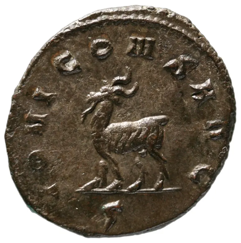 Münze