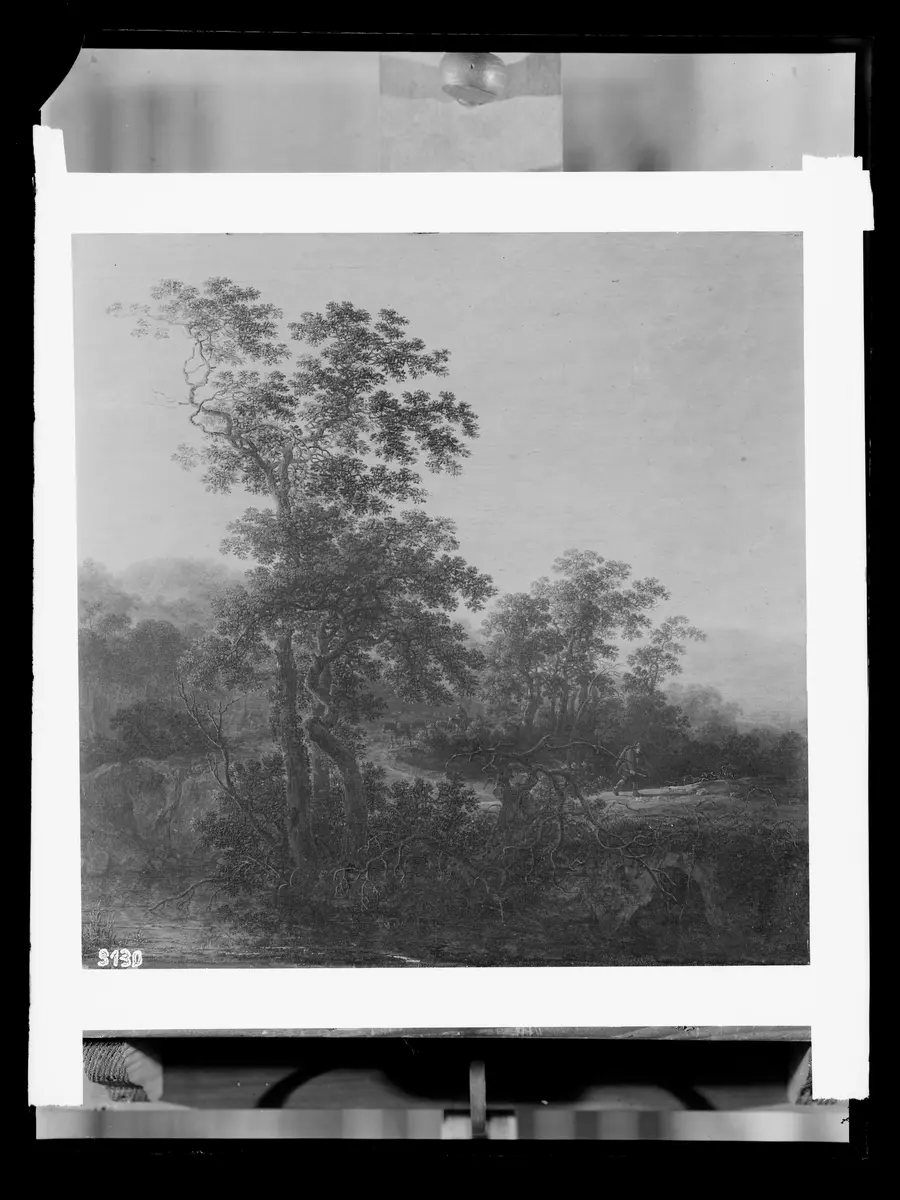 Landschaft mit Baumgruppe