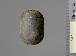Herzskarabäus
