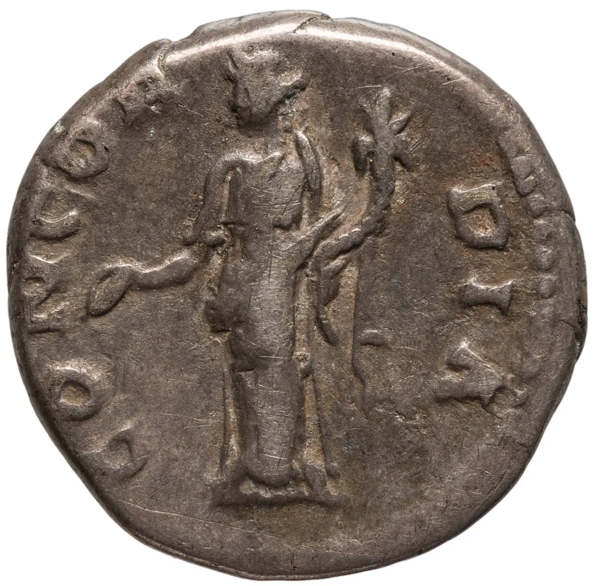 Lucius Aelius