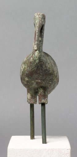 Schreitender Ibis