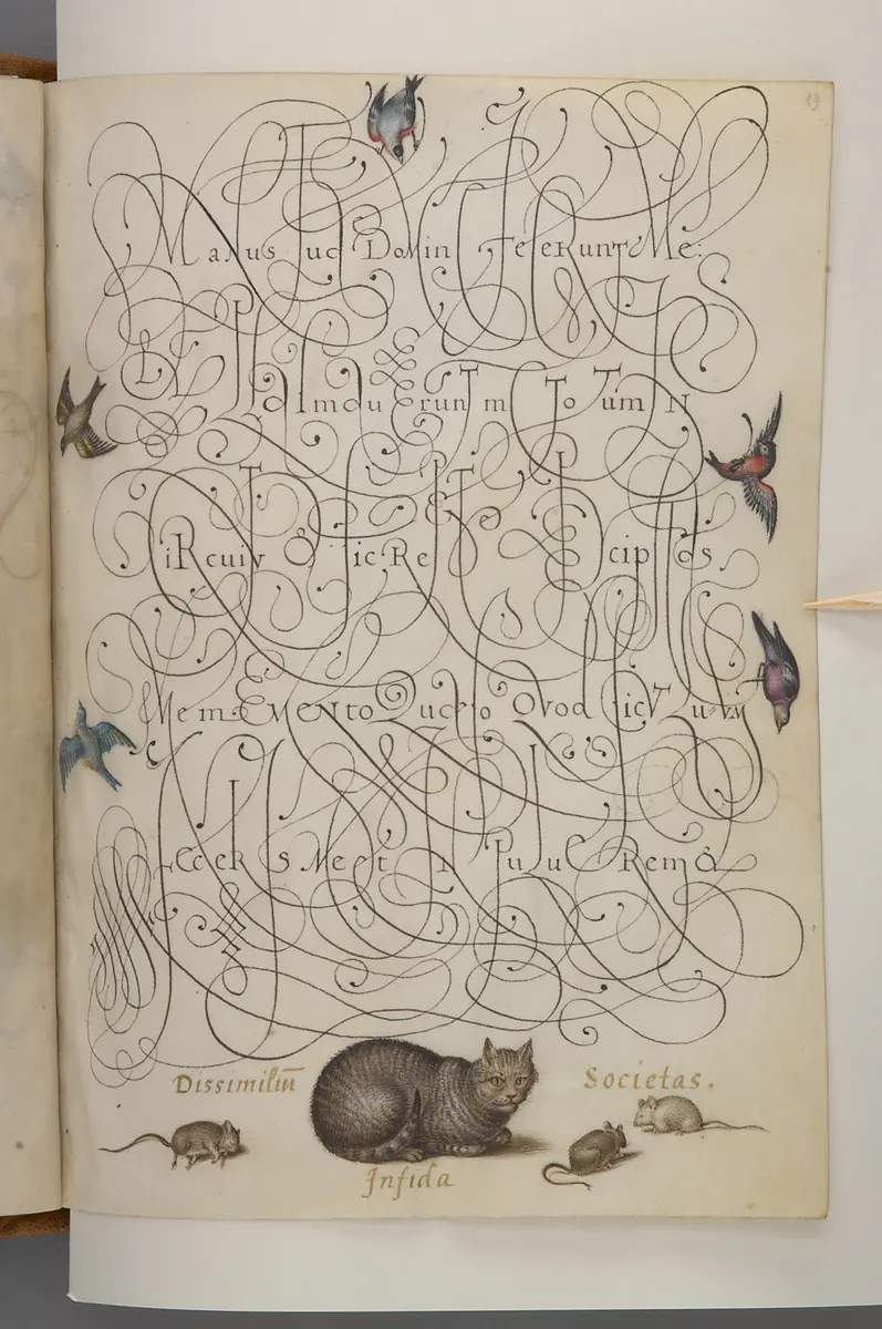 Schriftmusterbuch; 127 Blatt Pergament