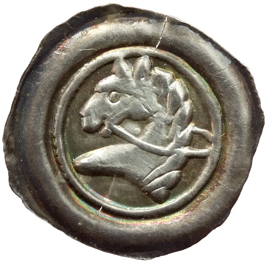 Herzöge von Kärnten / Herren von Krain: Ottokar II. (1270–1276)