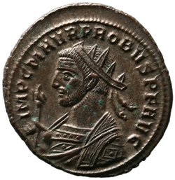 Probus