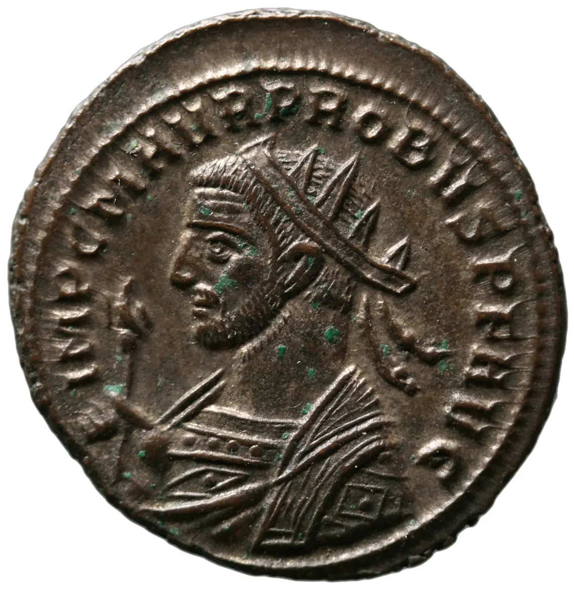 Probus