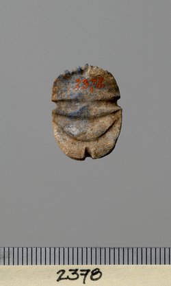 Mumienskarabäus