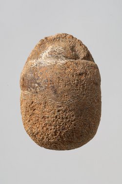 Herzskarabäus