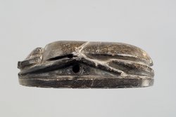 Herzskarabäus der Hausherrin Wer(...)