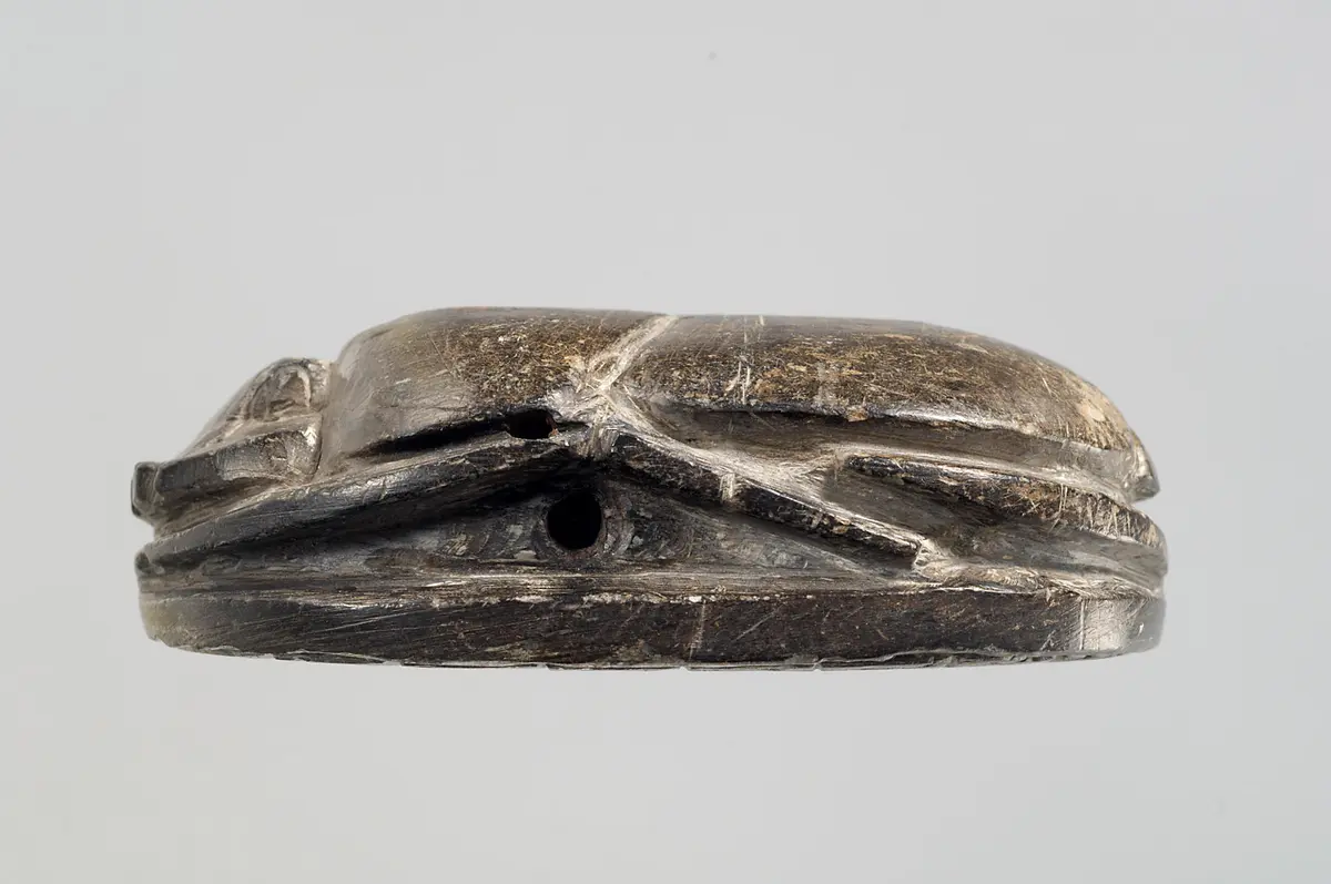 Herzskarabäus der Hausherrin Wer(...)