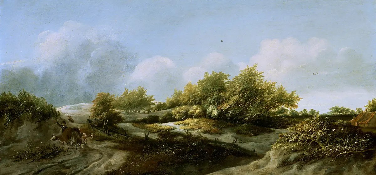 Dünenlandschaft