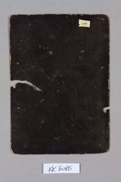 Spielkarte, Ungarn, Pfister (Zwei), aus dem sog. Hofämterspiel
