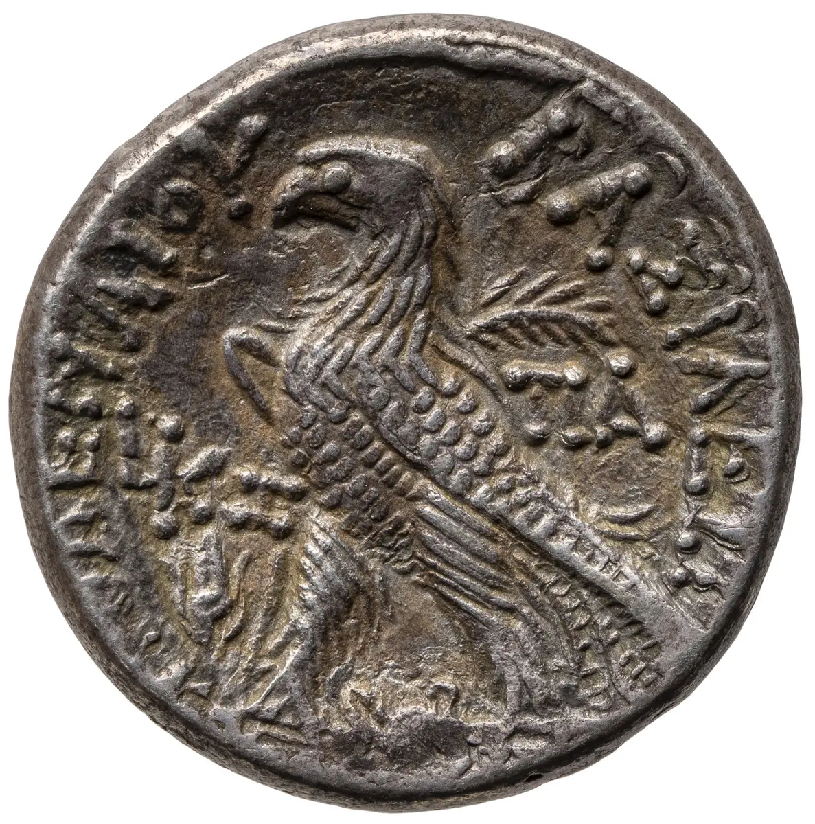 Ptolemäer: Ptolemaios XII.