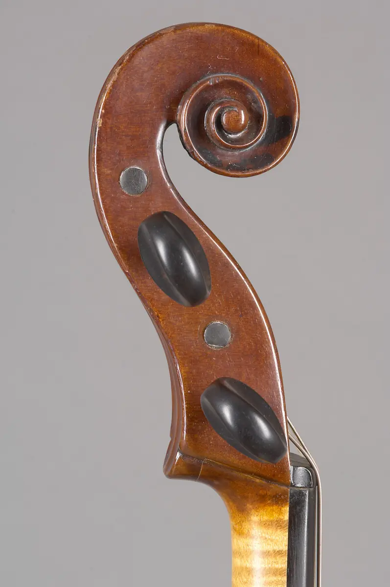 Viola
