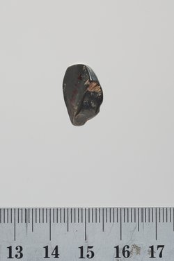 Sieben Gewichte