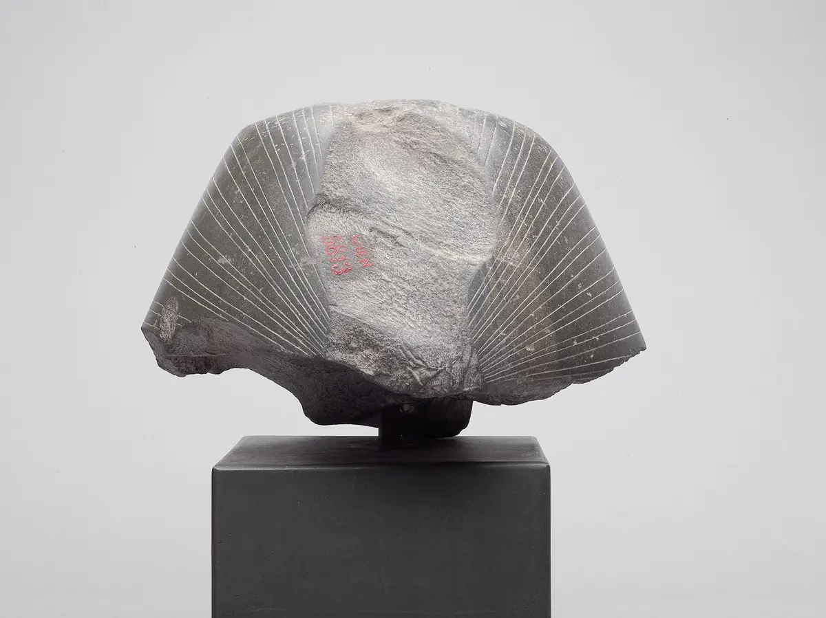 Head from a sphinx of Senwosret III 