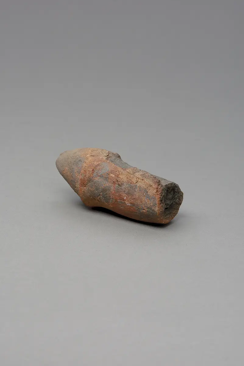 Phallus, fragmentiert