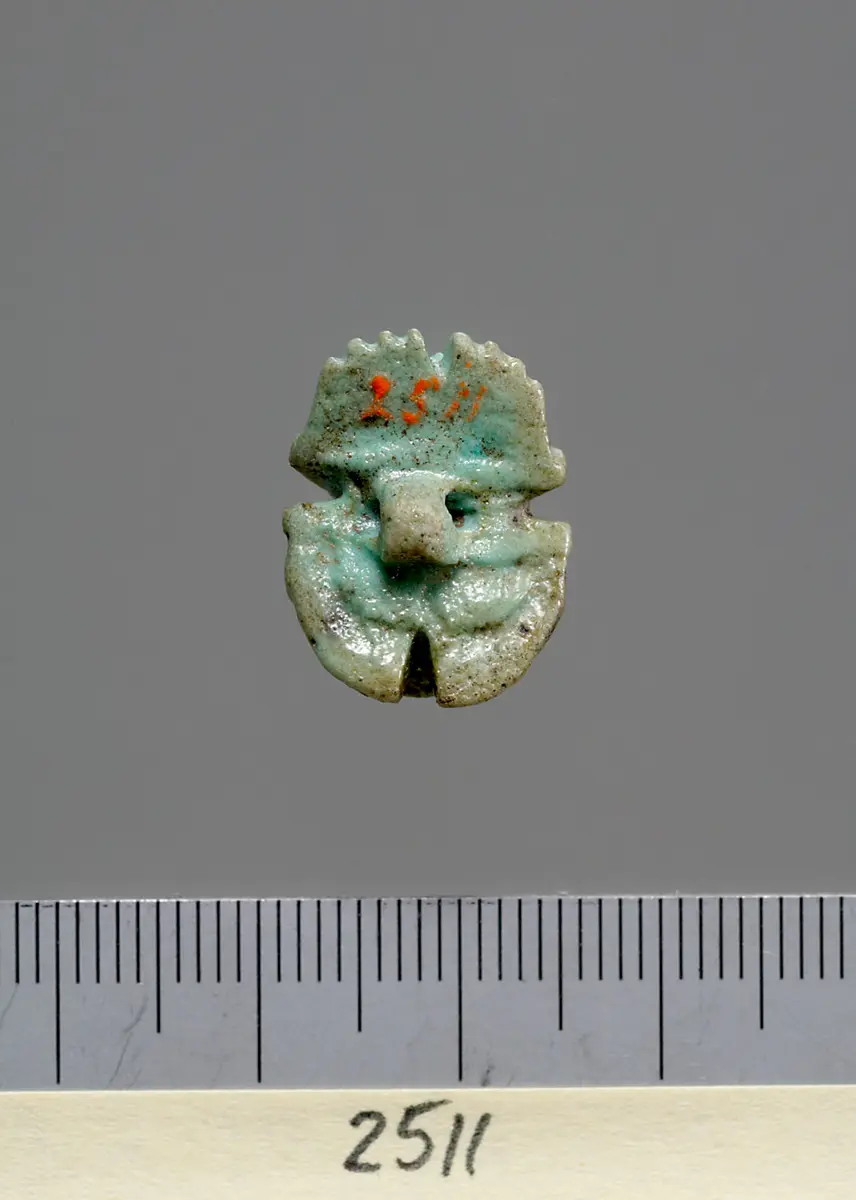 Mumienskarabäus