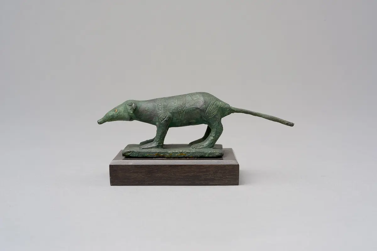 Spitzmaus