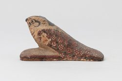 Achom-Falke