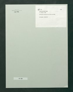Dienstinstruktionen für die Direktoren der Kunstsammlungen, der Kulturhistorischen Sammlungen und der Naturwissenschaftlichen Sammlungen des Bundes in Wien
