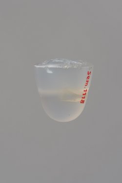 Stempelsiegel