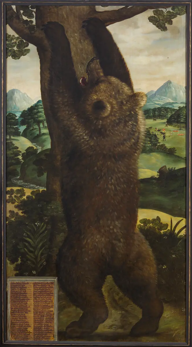 Bär, von Erzherzog Ferdinand II. erlegt