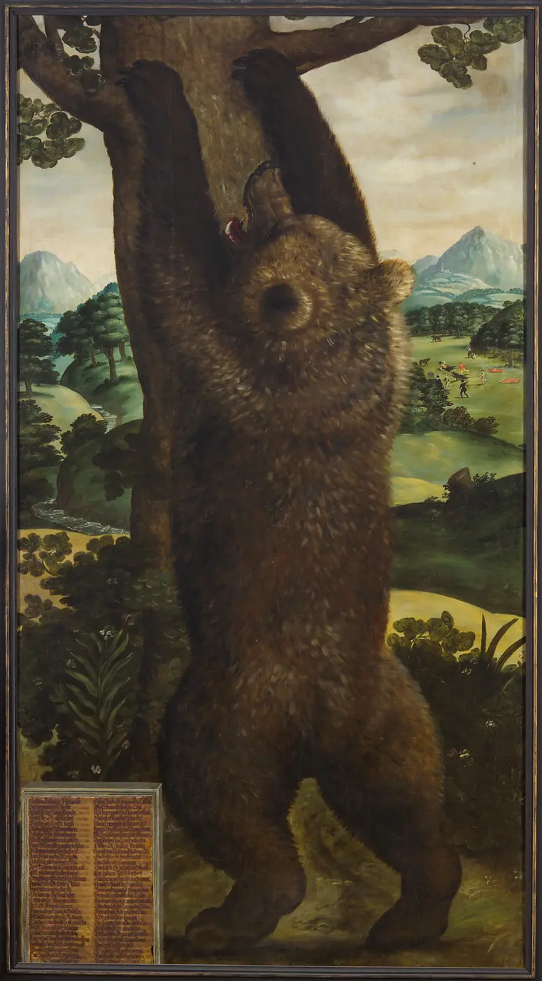 Bär, von Erzherzog Ferdinand II. erlegt