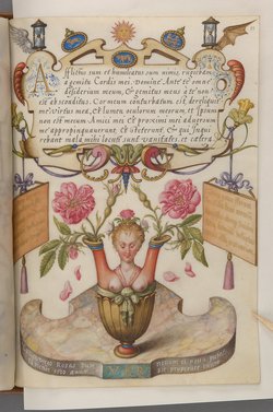 Schriftmusterbuch; 127 Blatt Pergament