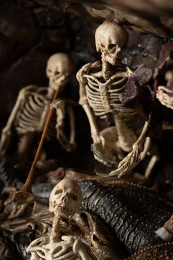 Der Tod Kaiser Ferdinands III. als Sinnbild der Vergänglichkeit