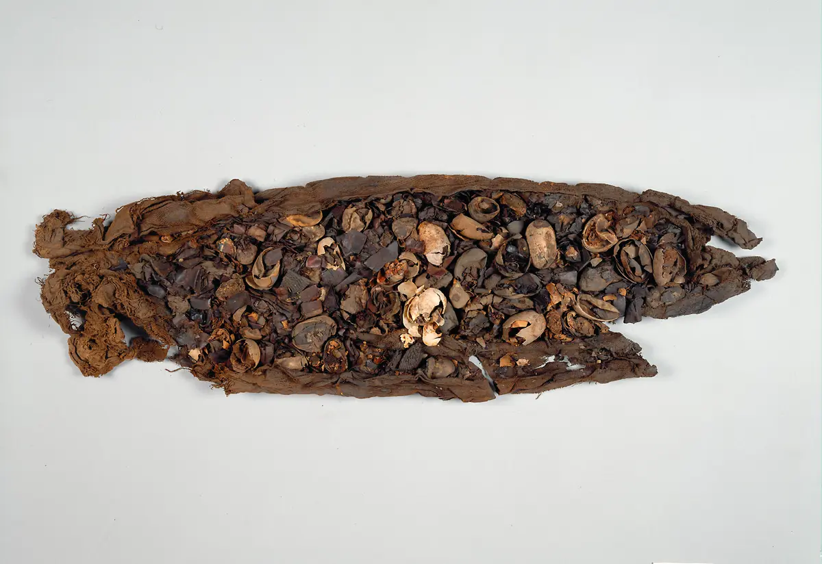 Krokodilseier