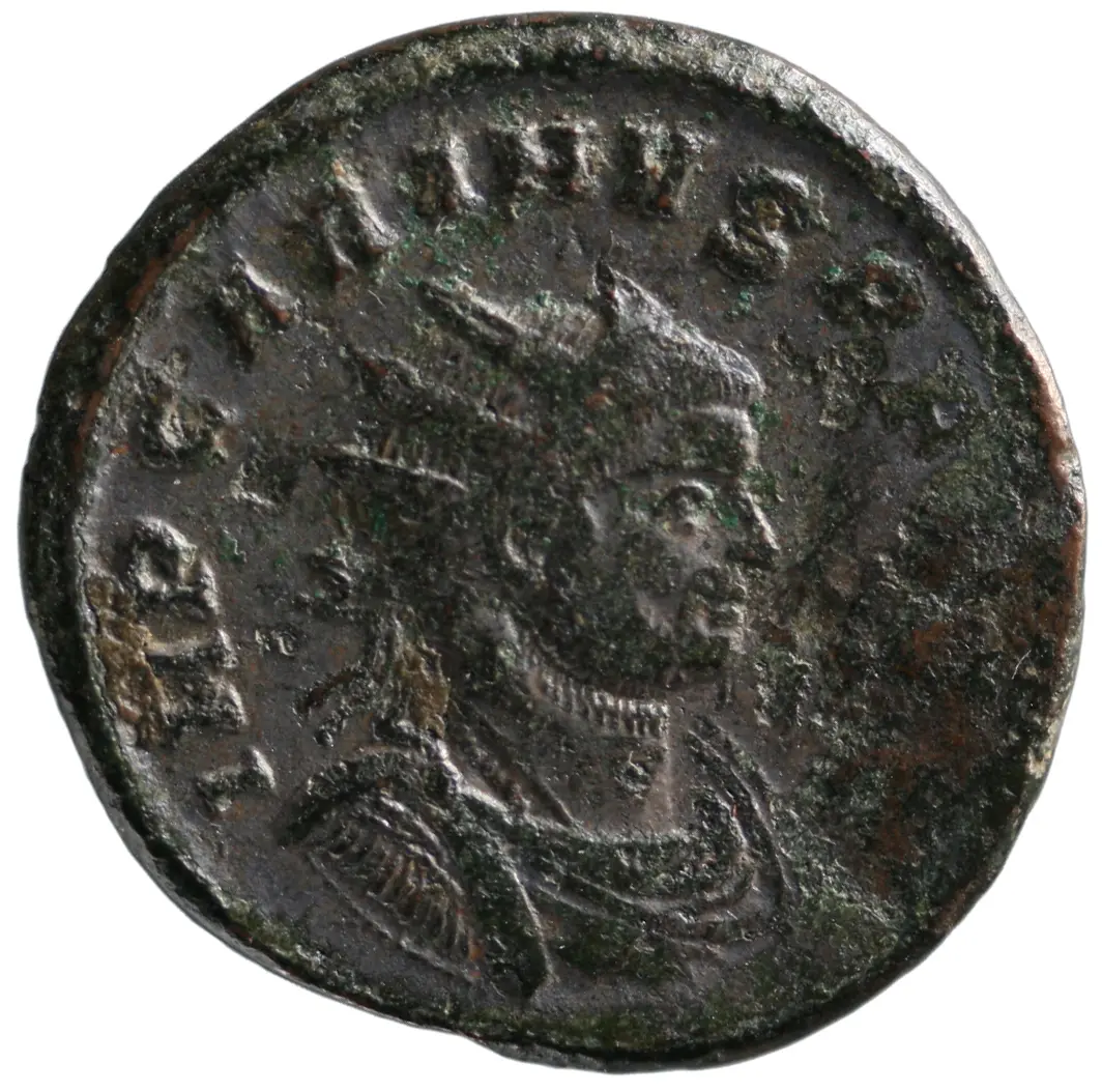 Carinus