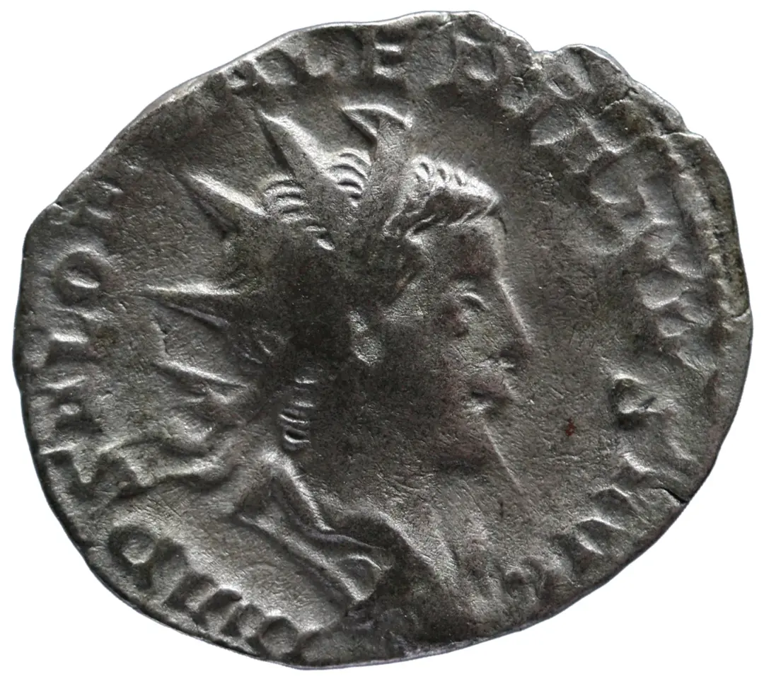Saloninus