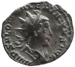 Saloninus
