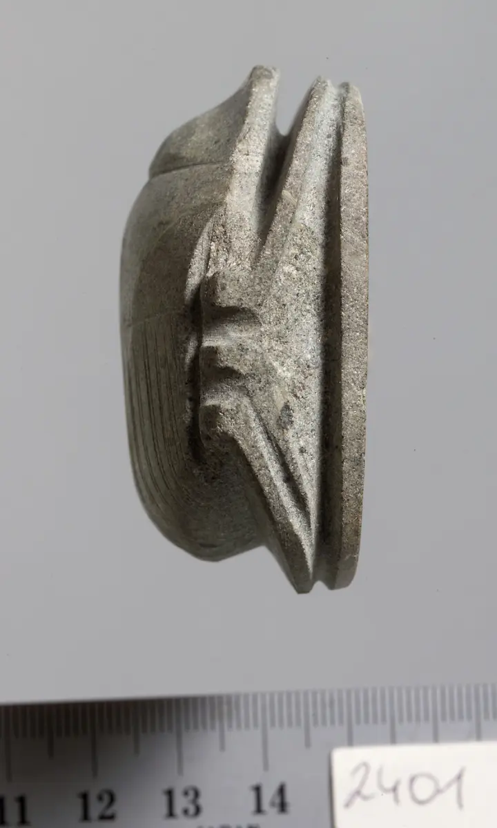 Herzskarabäus